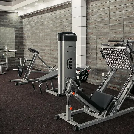 Illara Spa Hotel Hotel Irshava