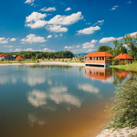 Hotel Illara Spa Hotel Irshava