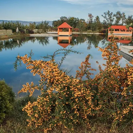 Hotel Illara Spa Hotel 5*