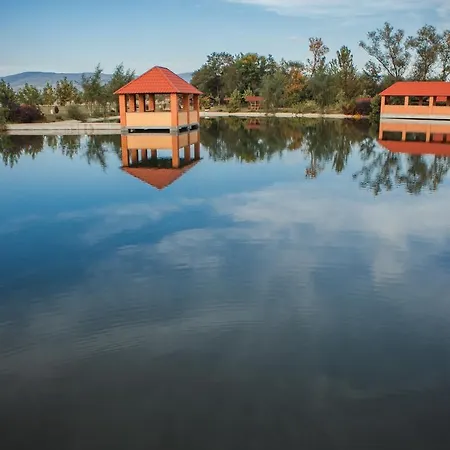 Illara Spa Hotel Irshava