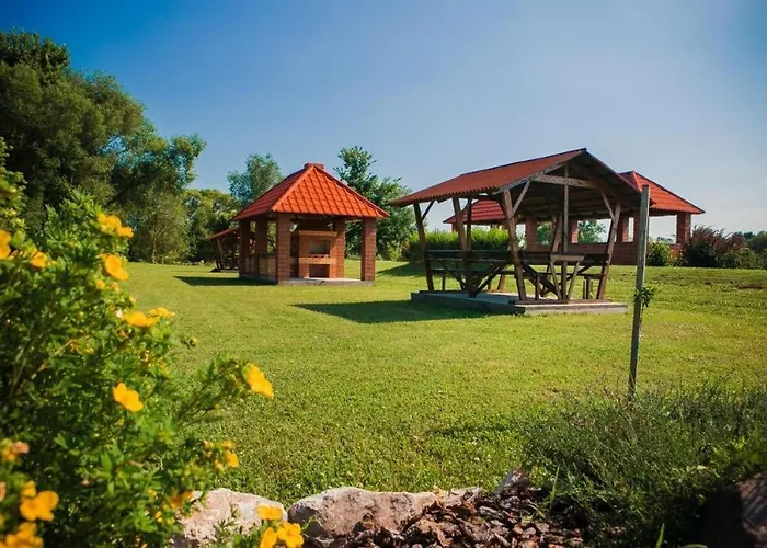 Otel Illara Irshava